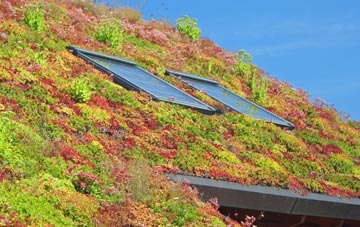 Hampton Fields living roof systems